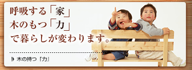 木の持つ『力』