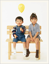 無垢材の断面図(200倍)